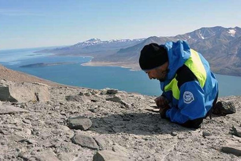 Greenland fossil goes back over 200 million years
