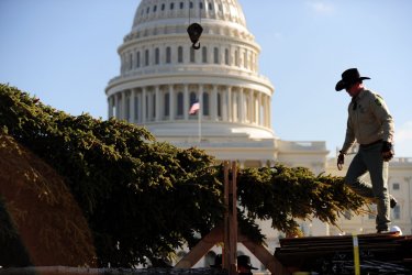 The Capitol Christmas tree arrives in Washington