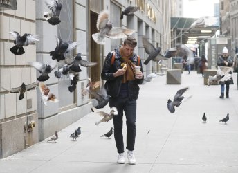Pigeons Fly from the Wall Street Sidewalk