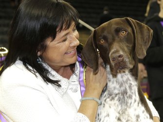 The German Shorthaired Pointer wins Best In Show
