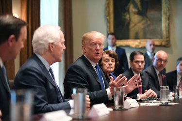 Trump Meets with Congress on Gun Safety at the White House