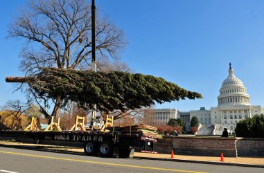 The Capitol Christmas tree arrives in Washington