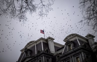 Birds Fly over the Executive Office Building in Washington, DC