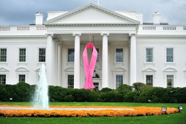 A Prink Ribbon is hung on the White House in Washington