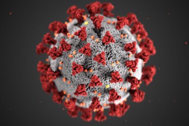 Microscopic Illustration of Coronavirus Disease 2019 (COVID-19)