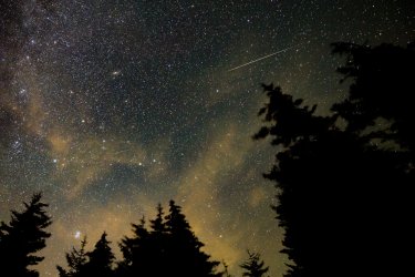 View of the Perseids Meteor Shower in Spruce Knob, West Virginia