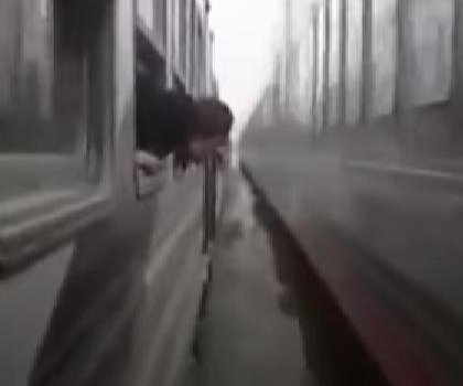 Horse runs through narrow gap between two Egyptian trains in viral video