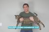 Michigan man's cat officially named tallest in the world