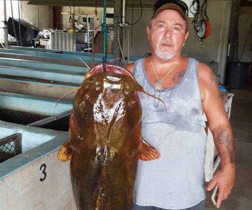 Florida angler's 69.9-pound catfish breaks state record