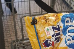 Black rat snake found inside bag of popcorn at Virginia store