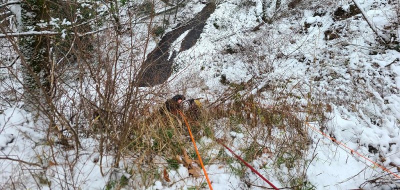 Oregon firefighters rescue woman clinging to tree root atop 300-foot cliff