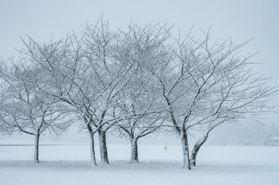 Heavy lake-effect snow burying Buffalo, N.Y., more on the way thumbnail