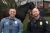 Escaped horses lead police on 30-minute chase through Pennsylvania town