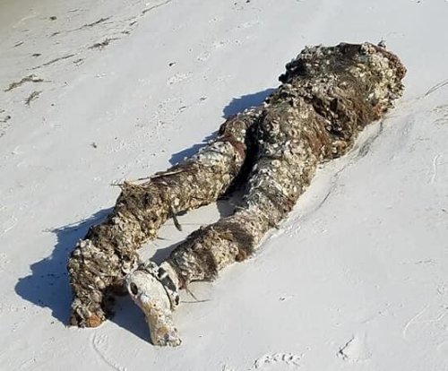 Apparent decapitated body on Florida beach was a store mannequin