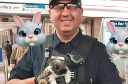 Police wrangle runaway rabbit at British Columbia train station
