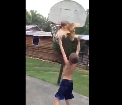 Kid plays basketball with live chicken in viral video - UPI.com