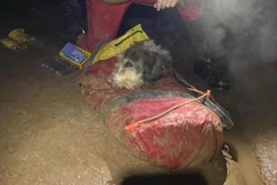 Dog rescued after being lost in Missouri cave for up to 2 months