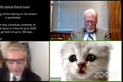 Zoom mishap turns lawyer into a cat during virtual hearing