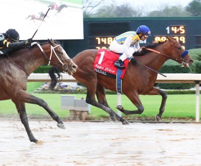 Churchill Downs' spring meet to open May 16 without ...