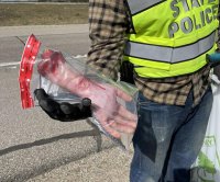Severed hand at side of Michigan highway was a rubber fake