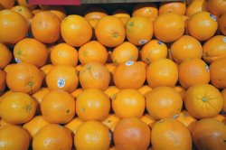 Florida citrus growers report crop losses after Hurricane Ian