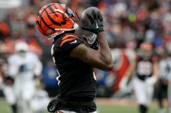 Bengals designate wide receiver Tee Higgins as franchise-tagged player