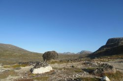 Oldest DNA shows Greenland once was home to forested ecosystem