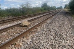 Rail service interrupted when 110-pound tortoise wanders onto tracks