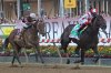 Early Voting wins Preakness Stakes by executing the perfect plan