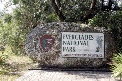 On This Day: Congress establishes Everglades National Park