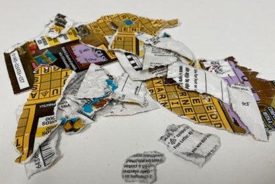 Oregon couple's winning lottery ticket shredded by dogs