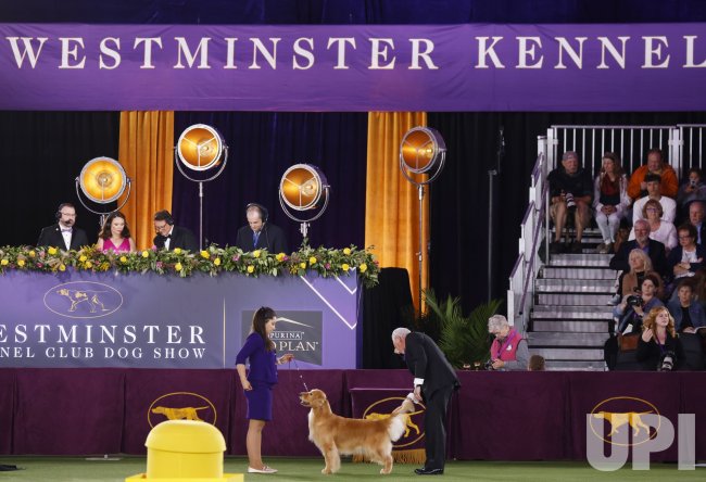 The 146th Annual Westminster Kennel Club Dog Show