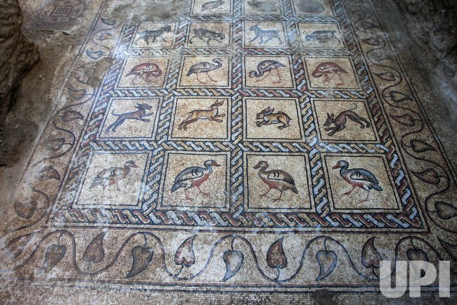 Palestinian Farmer Cleans Byzantine Mosaic Floor He Discovered on his Farm in Gaza