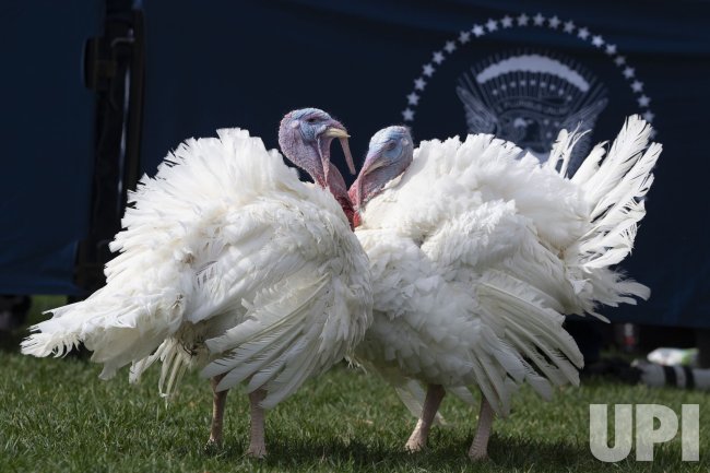 President Biden pardons Thanksgiving turkey at White Hpuse