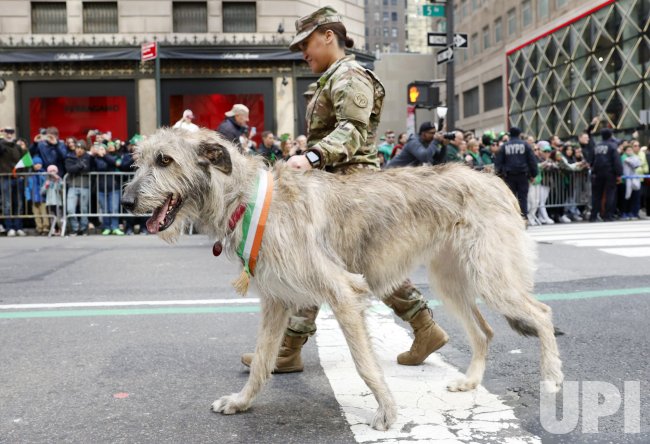 St. Patrick's Day Parade in New York