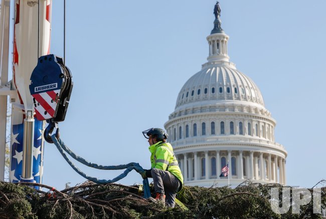 US Capitol Christmas Tree Arrives At The West Lawn Of The US Capitol