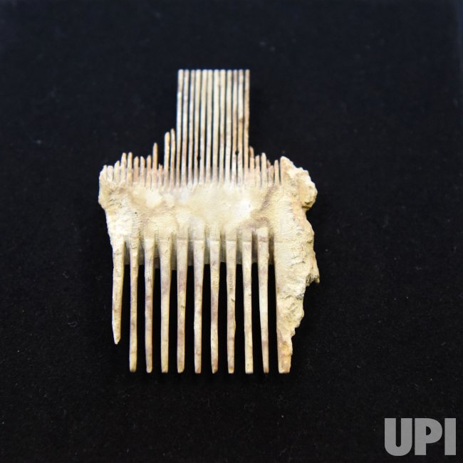An Ancient Lice Comb Unveiled By The Israel Antiquities Authority