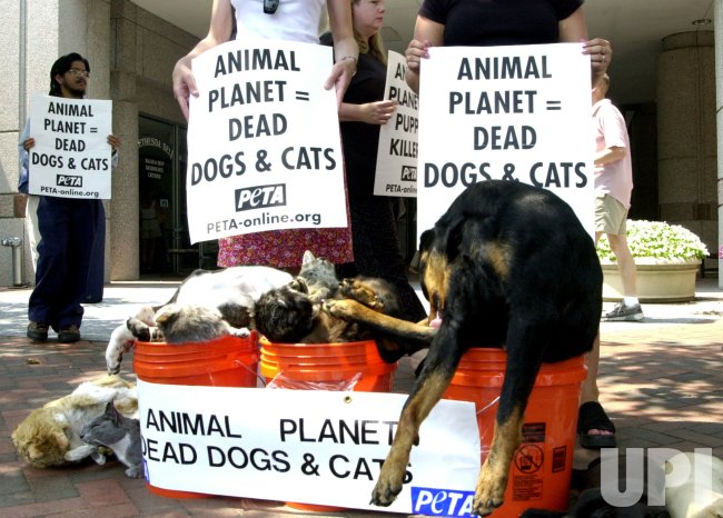 Photo: Peta Protest of Discovery Channel - 