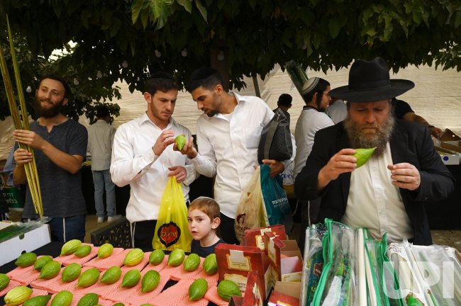 Israelis Prepare For The Sukkot Festival In Jerusalem
