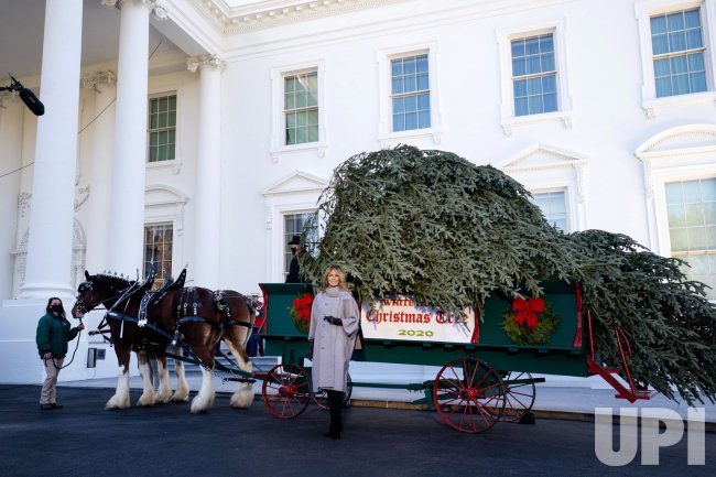 The First Lady receives the White House Christmas Tree in Washington, DC - UPI.com