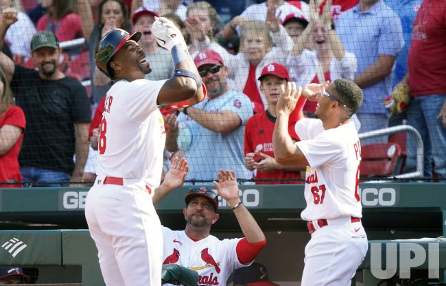 St. Louis Cardinals Jordan Walker Celebrtes His Solo Home Run