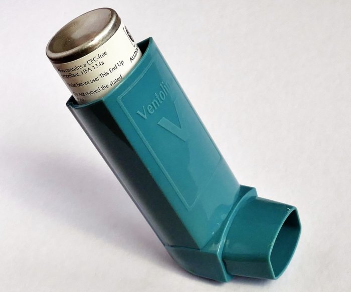 Inhaler combining albuterol, budesonide may stop asthma attacks