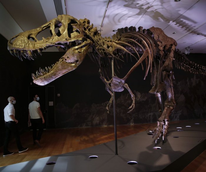 Second asteroid may have contributed to dinosaur extinction