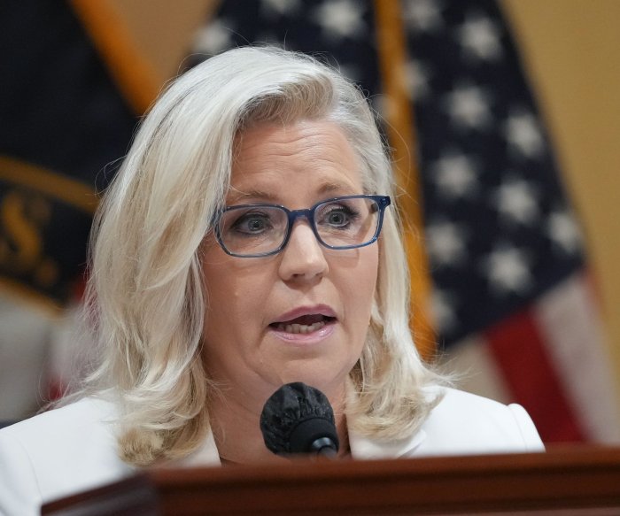 Liz Cheney concedes defeat in Wyoming primary