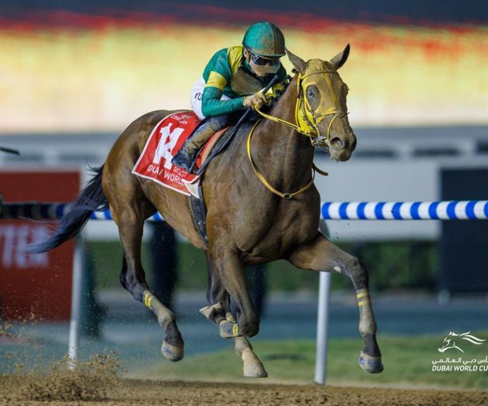 Two Japanese horses are in for Kentucky Derby; Japan also dominates in Dubai