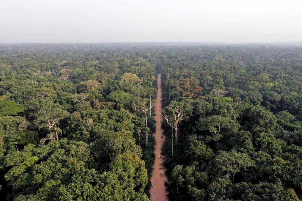Rainforests of central Africa unequally sensitive to climate change, human development