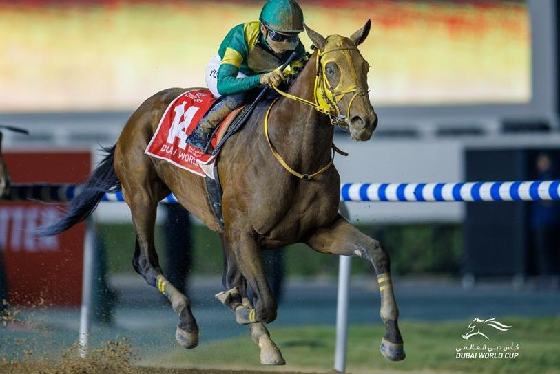 Two Japanese horses are in for Kentucky Derby; Japan also dominates in Dubai - UPI.com