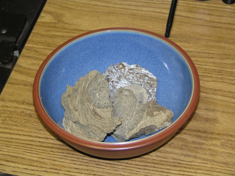 A UK couple found a large lump of whale vomit valued at about $70,000 while walking along Morecambe Bay in Lancashire in northwest England. Gary and Angela Williams are in negotiations with buyers from France and New Zealand, as the substance is often used by perfumers who use it to make scents last longer.  Photo <a class="tpstyle" href="https://www.flickr.com/photos/peterkaminski/128588176/sizes/l/" target="_blank">courtesy of Peter Kaminski/Flickr</a>