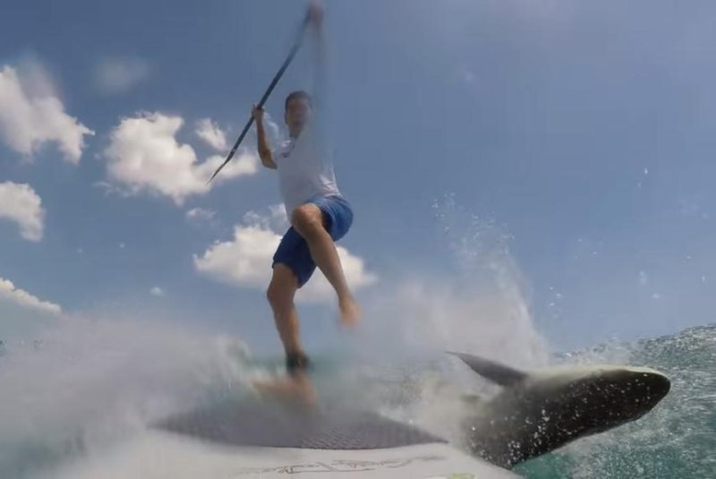 Maximo Trinidad collides with a spinner shark while paddleboarding off Jupiter, Fla. Screenshot: Maximo Trinidad/YouTube