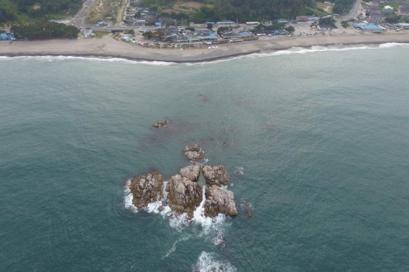 South Korean authorities dismantled dozens of tents belonging to local shaman practitioners at a site near the underwater tomb of King Munmu (pictured). Photo courtesy of Republic of Korea Cultural Heritage Administration